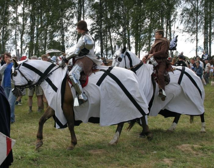 Click for original image 90k 702x550